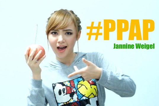พลอย ชมพู Cover PPAP