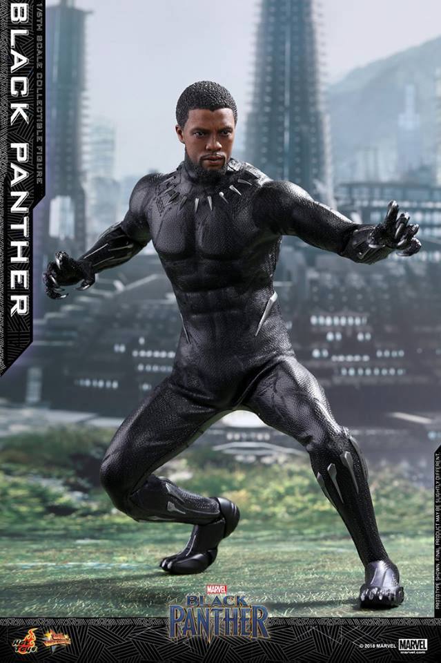 Hottoys Black Panther 1/6 