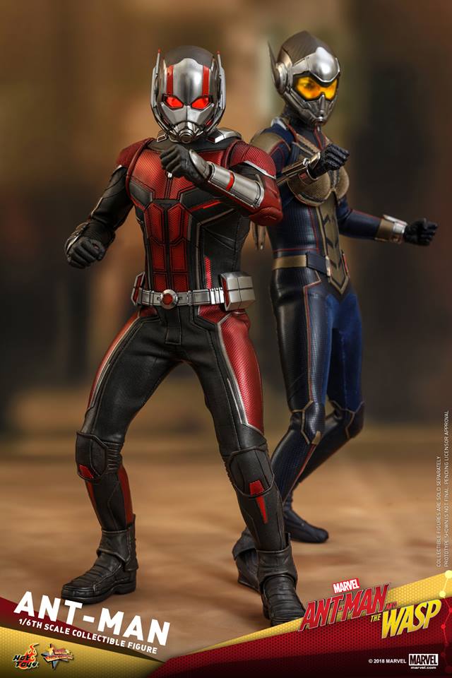 Hottoys Ant-Man The Wasp 